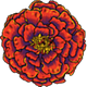 Marigold Capital logo