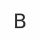 Bridge Partners logo
