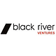 BlueRun Ventures logo
