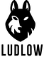 Ludlow Ventures logo