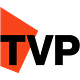 Tribeca Venture Partners logo