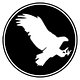 Raptor Ventures logo