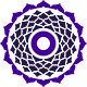 True Wealth Ventures logo