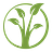 Sprout Fund logo