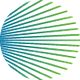 Piva Capital logo