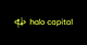 Halo Capital logo