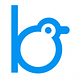 BigBird.VC logo