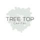 Tree Top Capital logo