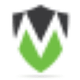 Patrick Visser logo