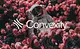 Convexity Ventures logo