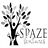 Spaze Ventures logo