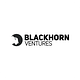 Blackhorn Ventures logo