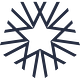 White Star Capital logo